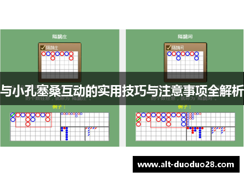 与小孔塞桑互动的实用技巧与注意事项全解析